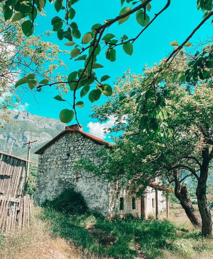 Ferienwohnung Te Baca Qerim Lekbibaj Exterior foto
