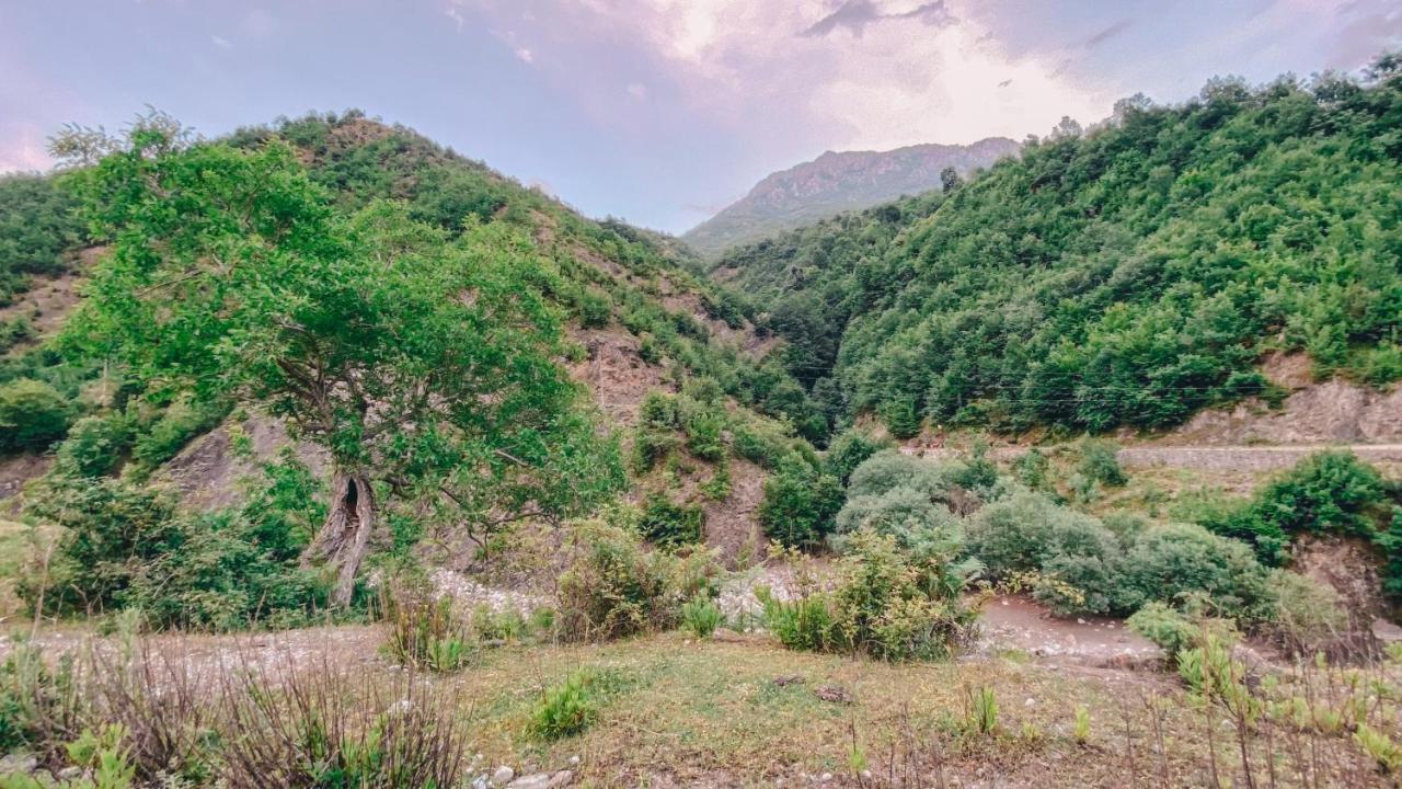 Ferienwohnung Te Baca Qerim Lekbibaj Exterior foto