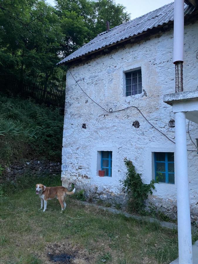 Ferienwohnung Te Baca Qerim Lekbibaj Exterior foto